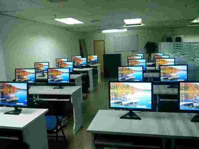 引领数字未来 我们的软件服务如何助力企业创新与增长