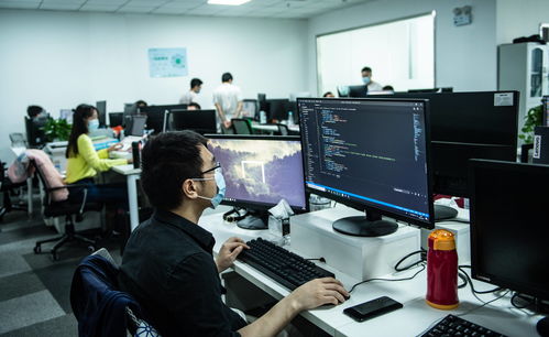 新兴产业吸引年轻人返乡就业 计算机软件咨询的机遇与挑战